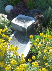 Brunnen Stein Garten Naturstein Wasserspiel Granit Katze